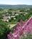 604 Udsigt Over Det Lavtliggende Landskab Simiane La Rotonde Provence Frankrig Anne Vibeke Rejser IMG 1079