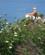 926 Udsigt Mod Fyret Cudillero Asturien Spanien Anne Vibeke Rejser IMG 7467