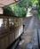 1601 Tog Kan Tage Dig Til Toppen Bom Do Jesus Do Monte I Braga Portugal Anne Vibeke R IMG 7718