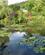 211 Soe Med Aakander Monets Have Giverny Seinen Normandiet Frankrig Anne Vibeke Rejser IMG 2477