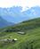 208 Traktoerstedet Alp Bovine Mont Blanc Schweiz Anne Vibeke Rejser IMG 5318