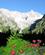 318 I Dalen Med Glacier De L’A Neuve Mont Blanc Schweiz Anne Vibeke Rejser IMG 5418