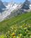 430 I Dalen Mod Refugio Elena Mont Blanc Italien Anne Vibeke Rejser IMG 5492