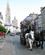 156 Hestetrukken Dobbeltdækker Foran Katedralen Onze Lieve Vrouwe Antwerpen Flandern Belgien Anne Vibeke Rejser IMG 2424