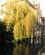 220 Brugge Flandern Belgien Anne Vibeke Rejser 2017 11 13 0901 001