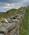 200 Vandreferie Langs Hadrians Wall Northumberland England Anne Vibeke Rejser DSC03730