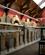 220 Chesters Museum Hadrians Wall Northumberland England Anne Vibeke Rejser DSC03698