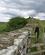 232 Indhegning Ved Hadrians Wall Northumberland England Anne Vibeke Rejser DSC03709