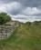 233 Langs Hadrians Wall I Kuperet Terraen Hadrians Wall Northumberland England Anne Vibeke Rejser DSC03710