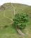 251 Det Beroemte Trae I Sycamore Gap Hadrians Wall Northumberland England Anne Vibeke Rejser DSC03762