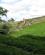 146 Langs Stengaerde Lake District England Anne Vibeke Rejser Billede 133