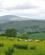 330 Kulturlandskab Med Faar Ullswater Lake District England Anne Vibeke Rejser Billede 066