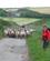 440 Moede Med Faareflokken St. Bees Head Cumbria England Anne Vibeke Rejser Billede 110