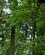 722 Maaske Skal Man Ikke Kigge Ned Go Abe Grizedale Lake District England Anne Vibeke Rejser DSC03570