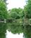 522 Lavvande I River Rathay Lake Windermere Lake District England Anne Vibeke Rejser Billede 163