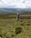 110 Vandring Mod Hoejdedrag Ved Wolsingham Park Moor Northumberland England Anne Vibeke Rejser DSC03639