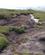 122 Ved Toerlagt Baek I Moseområdet Northumberland England Anne Vibeke Rejser DSC03640