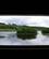 350 I Skjul For Fugleobservationer Kielder Water Northumberland England Anne Vibeke Rejser DSC03856