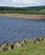 362 Daemning Ved Kielder Water Northumberland England Anne Vibeke Rejser DSC03882