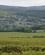 402 Rothbury Med Simonside Hills I Baggrunden Northumberland England Anne Vibeke Rejser DSC03885