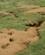 421 Kaninhuller I Eroderet Terraen Simonside Hills Rothbury Northumberland England Anne Vibeke Rejser DSC03892