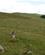 536 Ned Fra Hoejdedraget Pennine Way Northumberland England Anne Vibeke Rejser DSC03973
