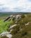 574 Varde Paa Bakketoppen Pennine Way Northumberland England Anne Vibeke Rejser DSC04010