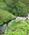 600 Vandretur I Breamish Valley Northumberland England Anne Vibeke Rejser Billede 280