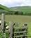 602 Vandring I Breamish Valley Northumberland England Anne Vibeke Rejser Billede 238