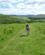 606 Klippet Og Velholdt Vandresti Breamish Valley Northumberland England Anne Vibeke Rejser Billede 240