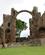 710 Ruinerne Af Lindisfarne Priory Holy Island Northumberland England Anne Vibeke Rejser DSC04053