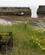822 Lavvande I Havnen Craster Coast Path Northumberland England Anne Vibeke Rejser DSC04180