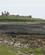 830 Lavvande Ved Dunstanburgh Castle Coast Path Northumberland England Anne Vibeke Rejser DSC04183
