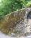 440 Den Originale Romerske Mur I Colchester England Anne Vibeke Rejser PICT0636
