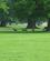 504 Krondyr I Slotsparken Woburn Abbey England Anne Vibeke Rejser IMG 6855