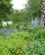 509 Frodige Engelske Blomsterbede Woburn Abbey England Anne Vibeke Rejser IMG 6871