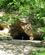 320 Gutmanns Grotte I Gauja Nationalpark Sigulda Letland Anne Vibeke Rejser IMG 3519