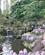 608 Hyacinter Ved Vandloeb Keukenhof Lisse Holland Anne Vibeke Rejser IMG 1134