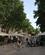 744 Rue De La Republique Avignon Frankrig Anne Vibeke Rejser IMG 8295