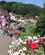 589 Masser Af Blomster I Kurbyen Rathen Saksiske Schweiz Sachsen Tyskland Anne Vibeke Rejser IMG 8704
