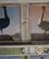 314 Loft Fyldt Med Billeder Af Brasilianske Og Afrikanske Fugle Hoflössnitz Radebeul Sachsen Tyskland Anne Vibeke Rejser IMG 8485