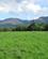 306 Killarney National Park Killarney Irland Anne Vibeke Rejser IMG 1846
