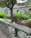 626 Aesel Ved Stenhuse Bunratty Folk Park Limerick Irland Anne Vibeke Rejser IMG 1902