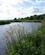 722 Cullenach River Ennistymon Irland Anne Vibeke Rejser IMG 2032