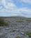 820 Kalkstenssletten Ved Poulnabrone The Burren National Park Irland Anne Vibeke Rejser IMG 1982