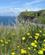 850 Vandeetur Mod O’Brien’S Tower Cliffs Of Moher Liscannor Irland Anne Vibeke Rejser IMG 1993