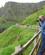 722 Din Rejseskribent Paa Vej Mod The Chimney Stacks Giants Causway Nordirland Anne Vibeke Rejser IMG 8472