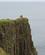 738 Folk Paa De Yderste Klipper Giants Causway Nordirland Anne Vibeke Rejser DSC04022