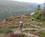 300 Endnu Et Nyk Opad Wicklow Way Irland Anne Vibeke Rejser IMG 0994