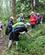 400 Blaabaer I Skoven Ved Laragh Wicklow Way Irland Anne Vibeke Rejser IMG 1019
